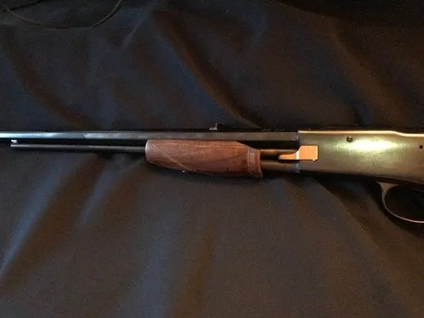 colt lightening 22